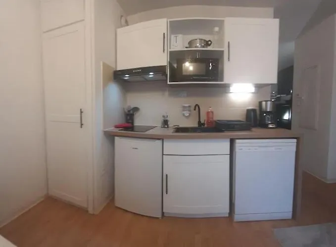 Du Mouflon Vert, Dans Résidence De Tourisme 3 étoiles Lourdes