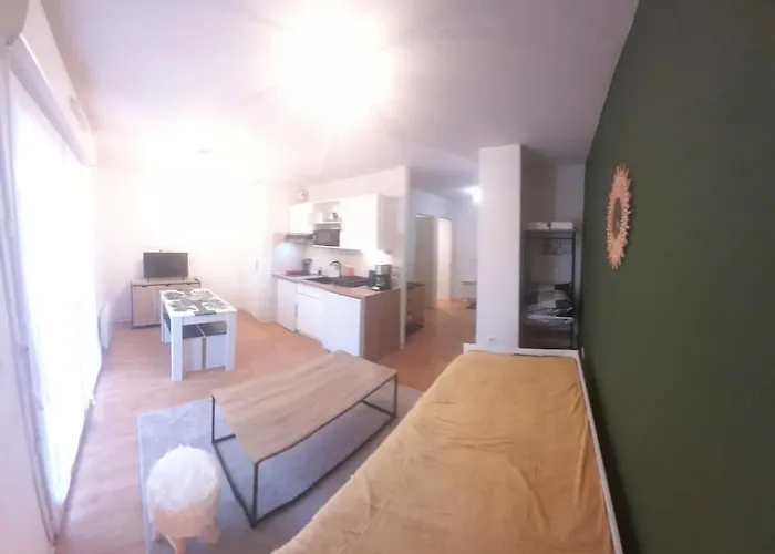 Apartamento Du Mouflon Vert, Dans Résidence De Tourisme 3 étoiles