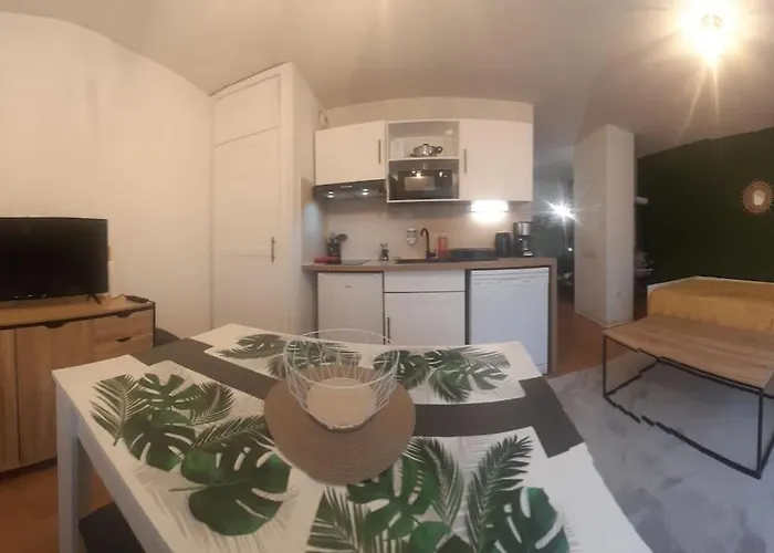 Apartamento Du Mouflon Vert, Dans Résidence De Tourisme 3 étoiles *