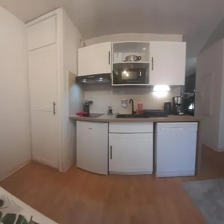 Du Mouflon Vert, Dans Résidence De Tourisme 3 étoiles Lourdes